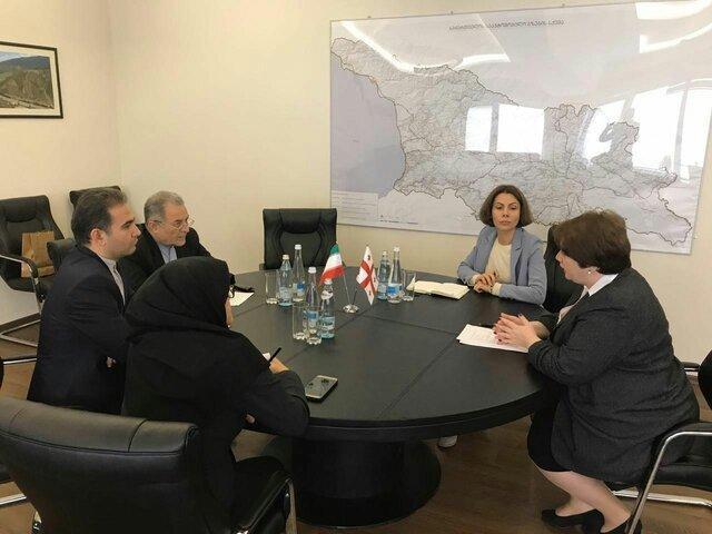 سفیر کشورمان با وزیر توسعه و زیرساخت گرجستان ملاقات کرد