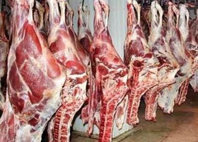 تولید سالانه بیش از 27 هزار تن گوشت قرمز در کردستان