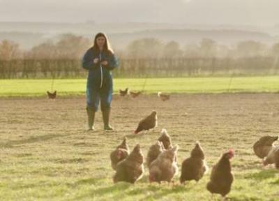 اپلیکیشن موبایل احساسات حیوانات را رصد می نماید