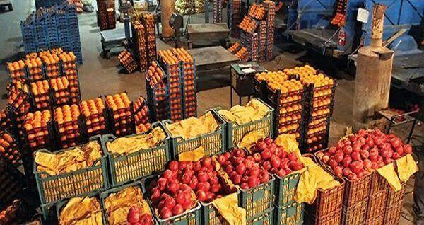 خبرنگاران عرضه سیب و پرتقال شب عید از فردا در تهران شروع می گردد
