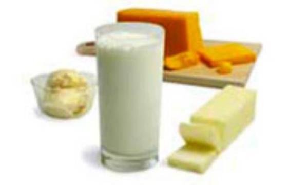 لبنیات لاغر می کند؟