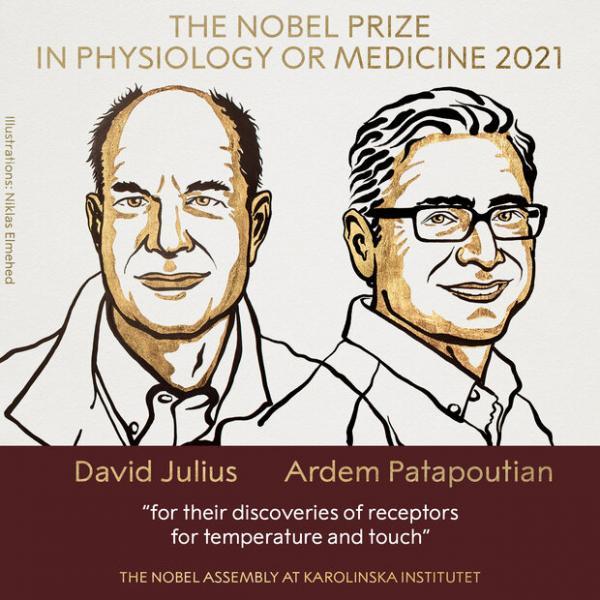 برندگان نوبل پزشکی 2021 اعلام شدند
