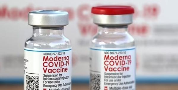 تزریق مدرنا در آمریکا برای نوجوانان به تاخیر افتاد، عارضه واکسن بررسی می شود