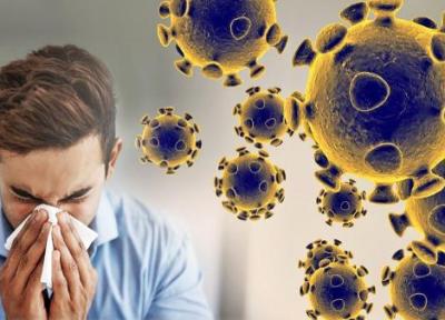 آنفلوآنزا زمینه ساز ابتلا به بیماری کووید 19 نیست
