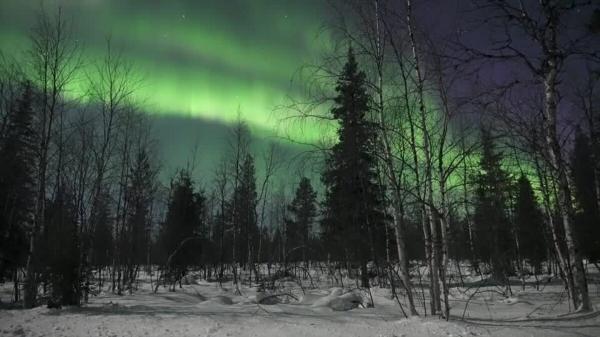 ببینید، نورهای خیره کننده در آسمان فنلاند، شفق قطبی در زیباترین شکل خودش